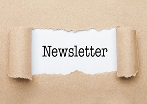 November newsletter